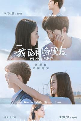《钢木兰花》电影高清完整版