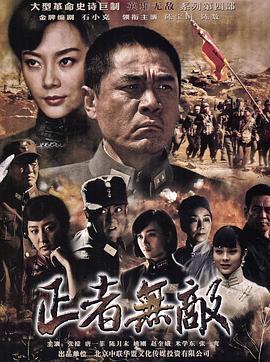《蚊子海岸第二季》电视剧高清全集