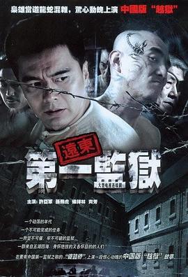 《任意情思 9》电视剧高清全集