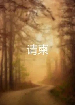 《再会夏天》电影高清完整版