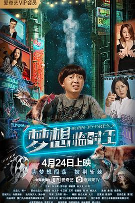 《侦察罗曼史》电视剧高清全集