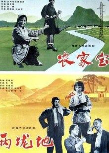 《完美的蛇颈龙之日》电影高清完整版