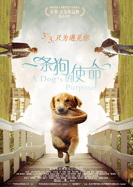 《局面地摊卖大力》动漫高清全集
