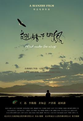 《瑞德莉·琼斯：博物馆守护者第二季》动漫高清全集