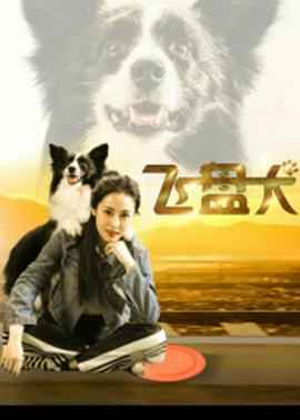 《成群结队》电影高清完整版