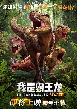 《猫和老鼠：查理和巧克力工厂》动漫高清全集
