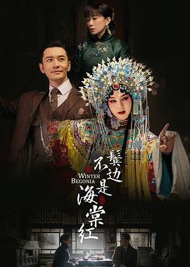 《少年魔法师第四季》电视剧高清全集
