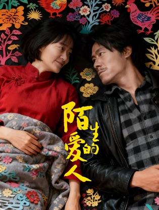 《铁幕暗影下》电影高清完整版