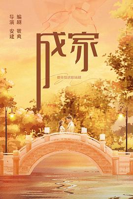 《美国谍梦第二季》电视剧高清全集