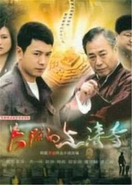 《缉私要案组》电视剧高清全集