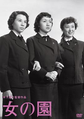 《赖布衣奇谋玄机粤语》电视剧高清全集