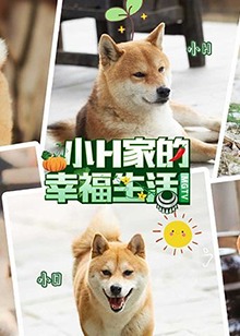 《成人期》电影高清完整版