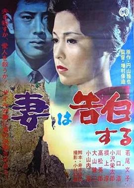 《空中浩劫第十二季》电影高清完整版