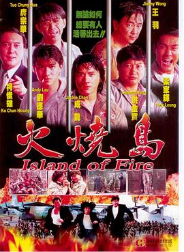 《失忆谜案》电影高清完整版