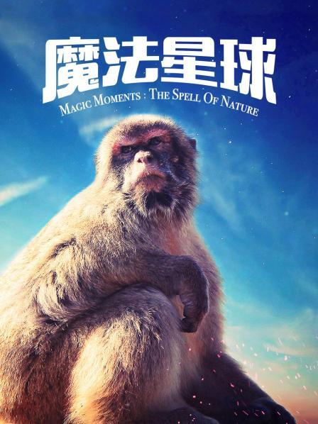 《林都奇谭》电影高清完整版