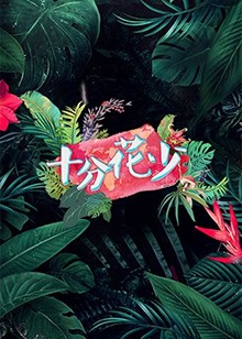 《港湾第四季》电视剧高清全集