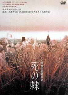 《老婆大人粤语》电视剧高清全集