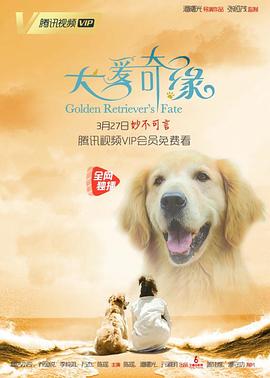 《成龙历险记第三季》动漫高清全集