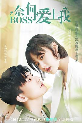 《哈莉·奎茵第一季》动漫高清全集