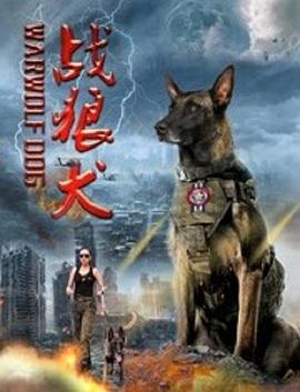 《一年中的九霄》电影高清完整版