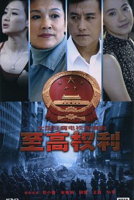《占据新机场》电视剧高清全集