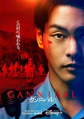 《姥爷的抗战》电视剧高清全集