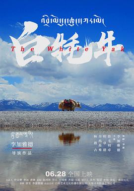 《仿照》电视剧高清全集