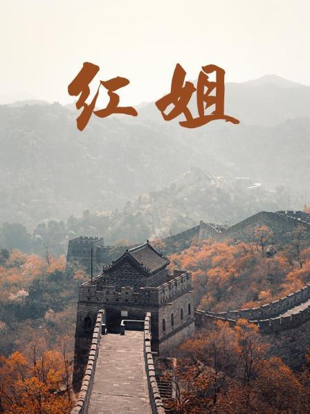 《冷血狐狸》电影高清完整版