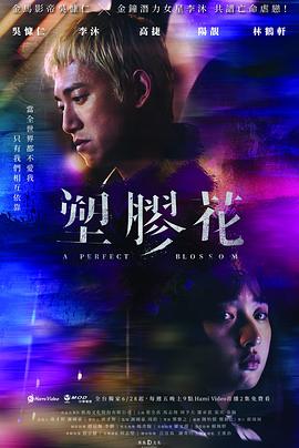 《天使之耳～交通警察之夜》电视剧高清全集