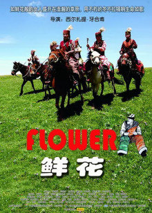 《IT狂人第二季》电视剧高清全集