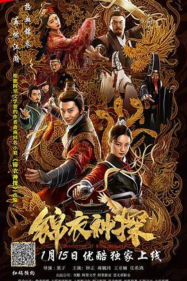 《新女巡按》电视剧高清全集