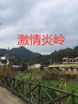 《线人》电影高清完整版