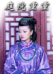 《接班女婿》电视剧高清全集