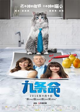 《欢喜一家亲第八季》电视剧高清全集