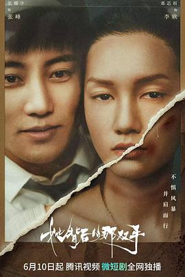 《波士顿连环命案【影视说明】》电影高清完整版
