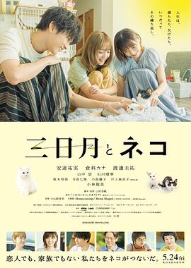 《赌场风云粤语》电视剧高清全集