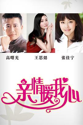 《绝不甩手》电视剧高清全集