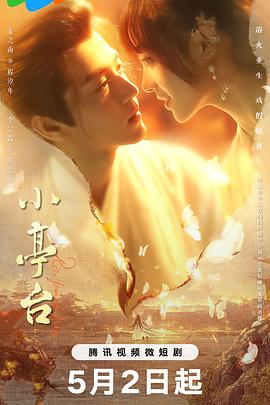 《13条命》电影高清完整版