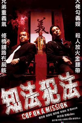《黑侠》电影高清完整版