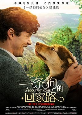 《空山异客》电影高清完整版
