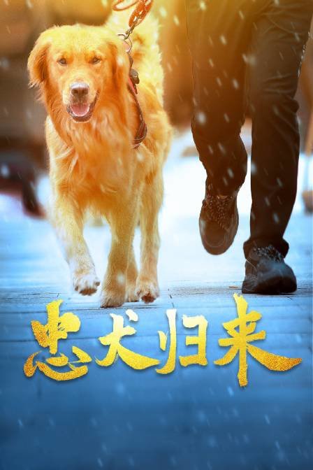 《怪医杜立德5：百万傻蛋国语》电影高清完整版