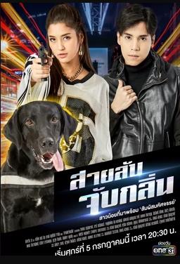 《玉子商场 特典OVA》动漫高清全集