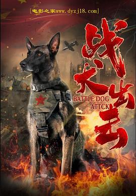 《紊乱审判第二季》电视剧高清全集