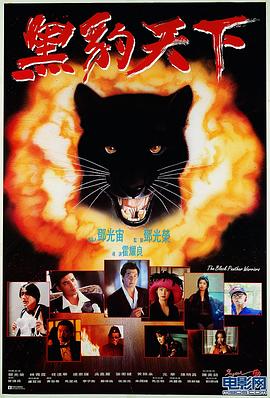 《侠捕之疑云布满》电影高清完整版