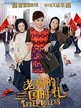 《芝加哥警署第四季》电视剧高清全集