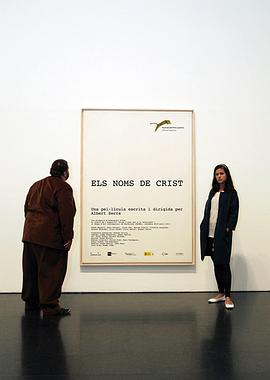 《罗雀高飞》电视剧高清全集